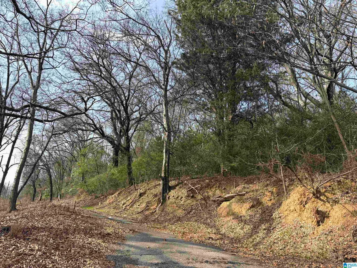 2217 43RD AVENUE N, Birmingham, AL 35207 - Image #1