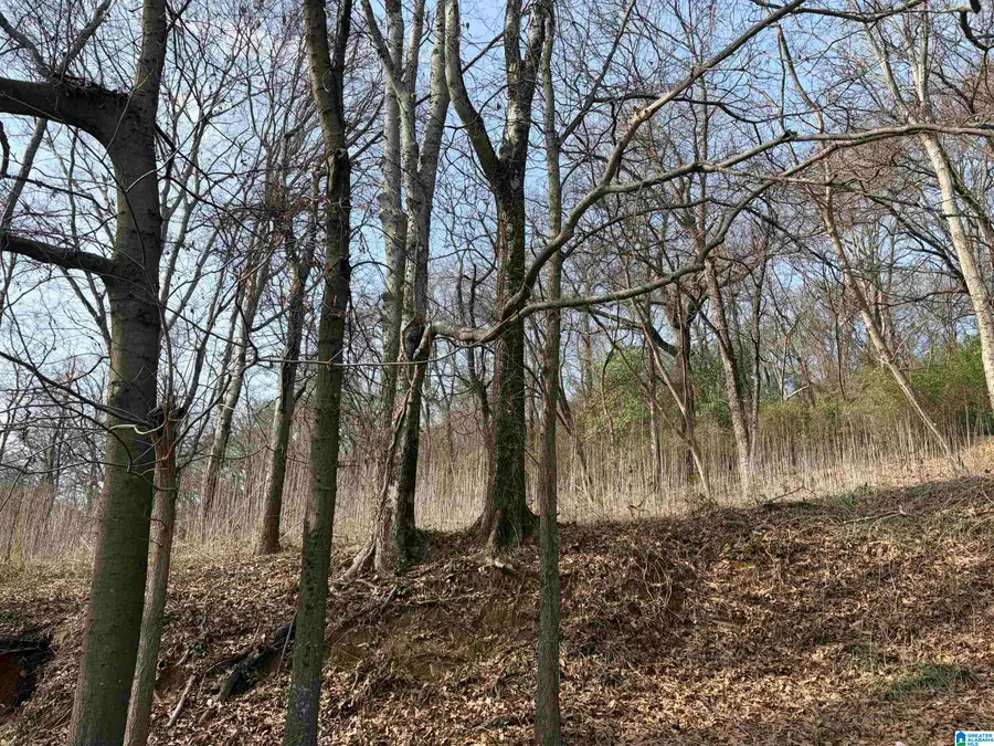 2217 43RD AVENUE N, Birmingham, AL 35207 - Image #2