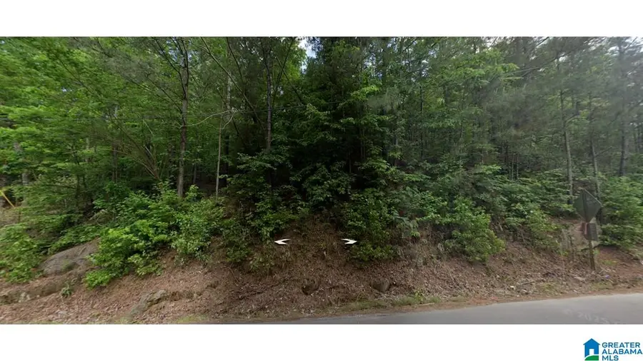 0000 BLACKJACK ROAD, Trussville, AL 35173 - Image #3