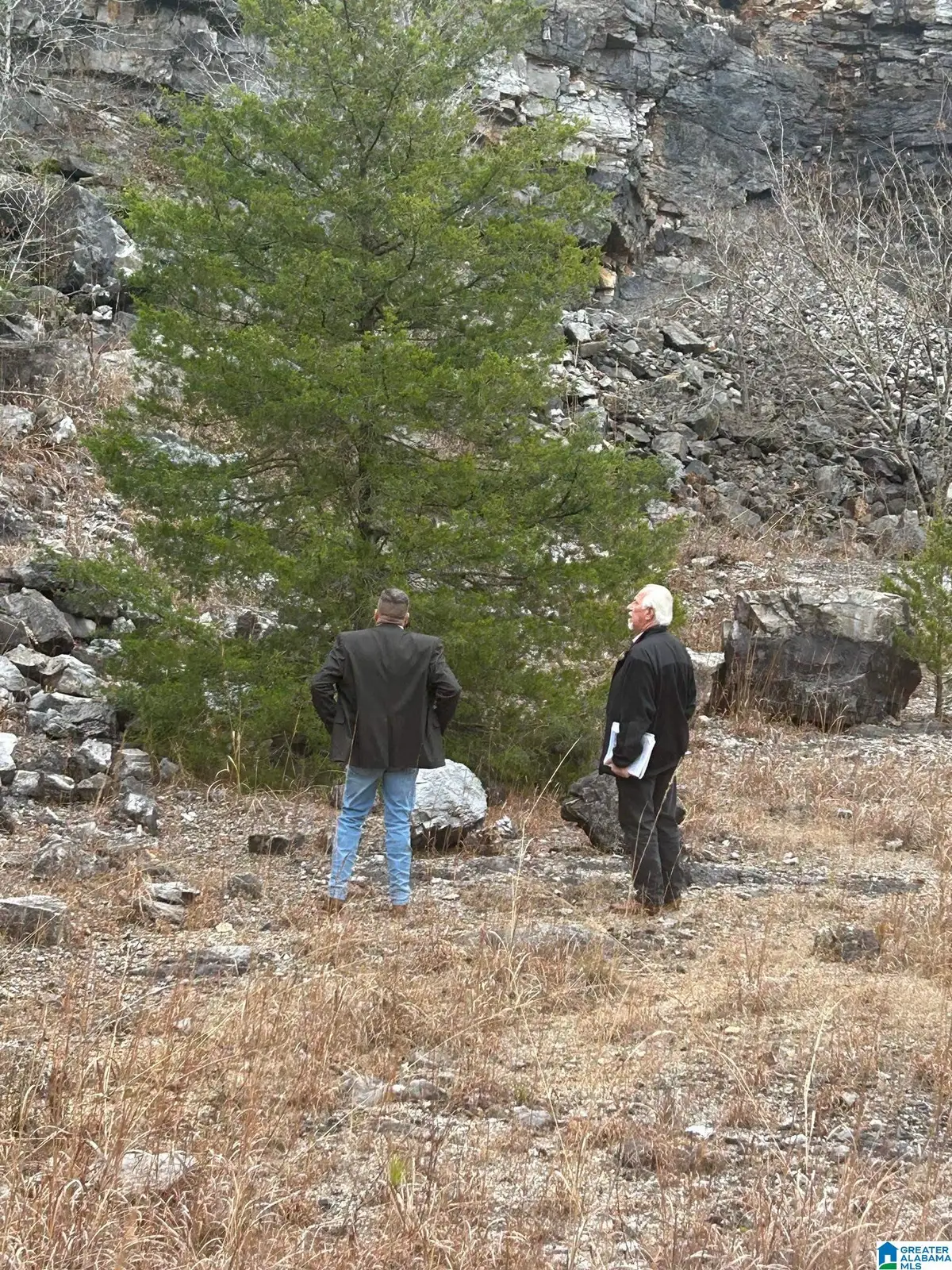 0 ROCKY LANE, Alpine, AL 35014 - #1