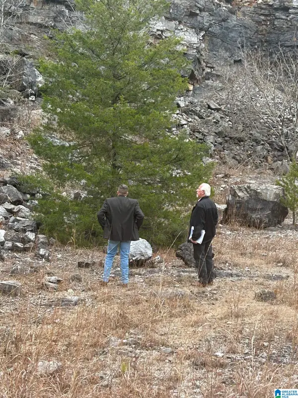 0 ROCKY LANE, Alpine, AL 35014