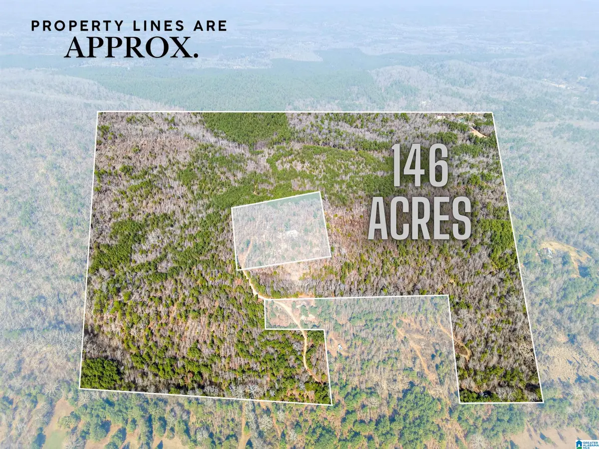 00 FLYING L RANCH ROAD, Talladega, AL 35160 - Image #1