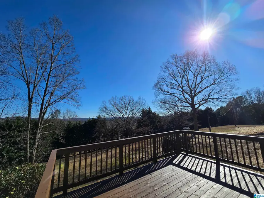 10425 US HIGHWAY 11, Springville, AL 35146 - Image #2