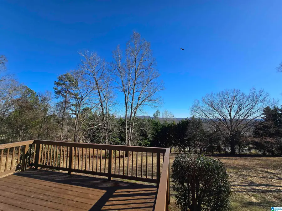 10425 US HIGHWAY 11, Springville, AL 35146 - Image #3