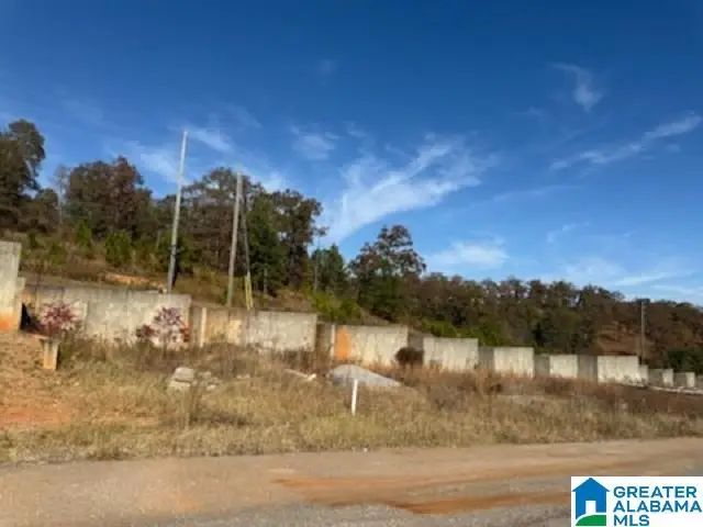 1110 RANCH MARINA ROAD, Pell City, AL 35128 - Image #2