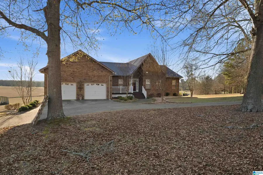 4495 ODENA ROAD N, Alpine, AL 35014 - #2