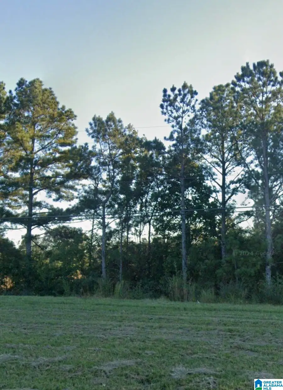6320 W HIGHWAY 280, Harpersville, AL 35078 - Image #2