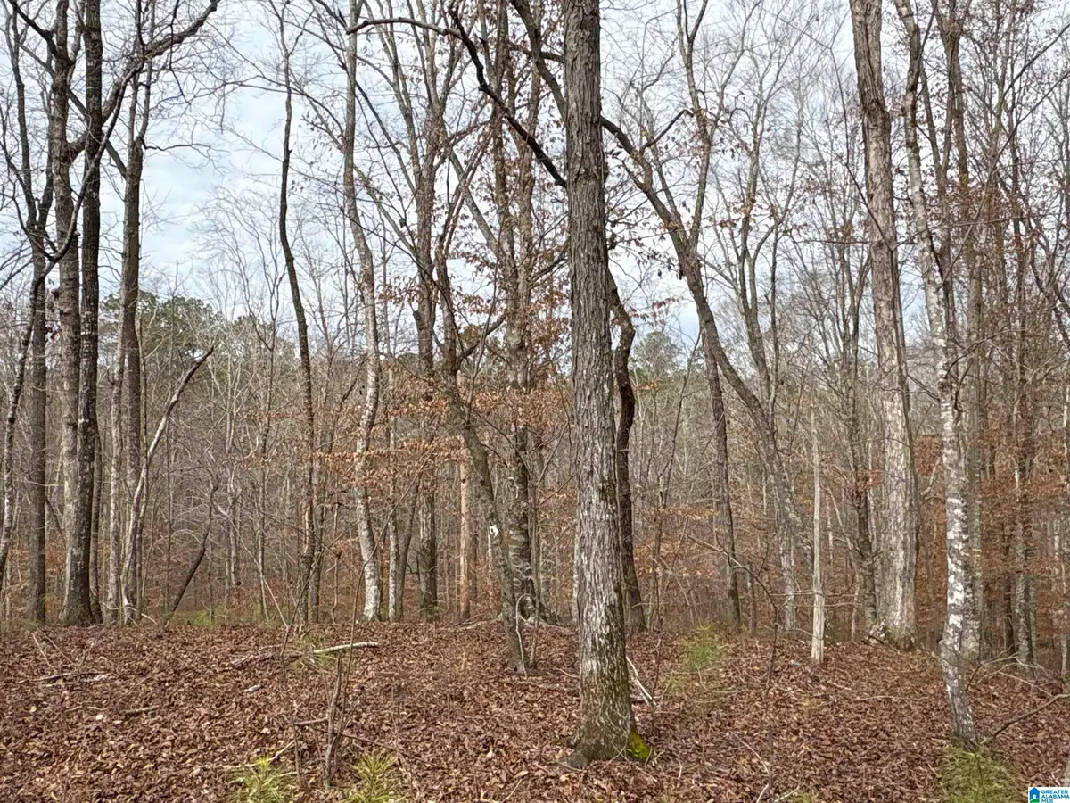 0 COUNTY ROAD 55, Clanton, AL 35046 - Image #1