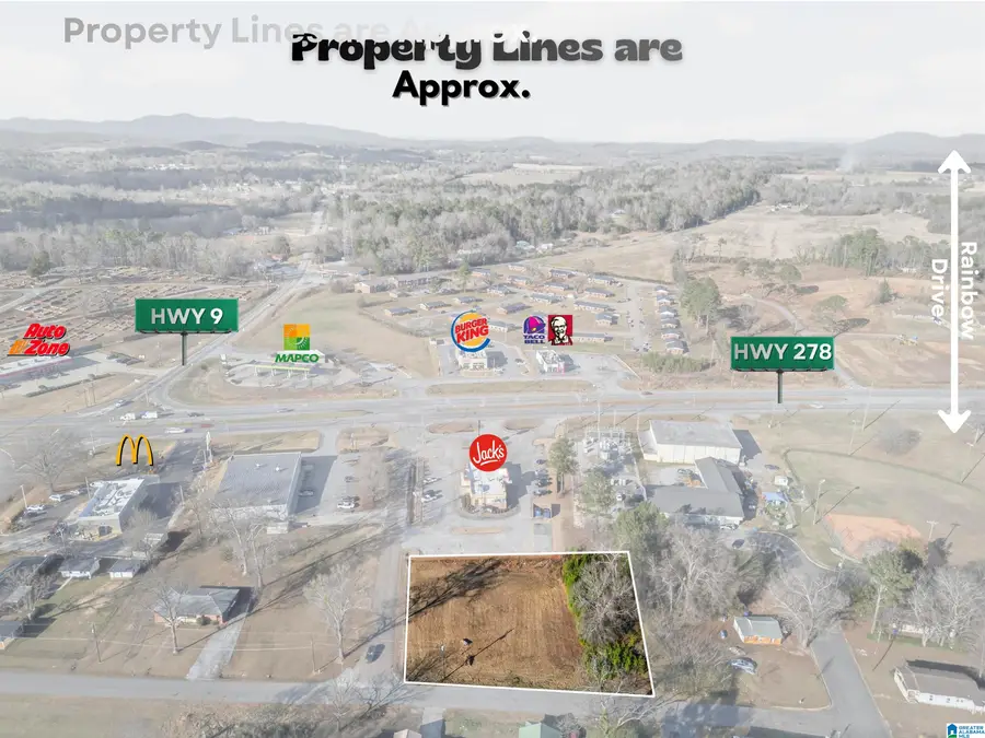 0 SWANN STREET, Piedmont, AL 36272 - Image #3