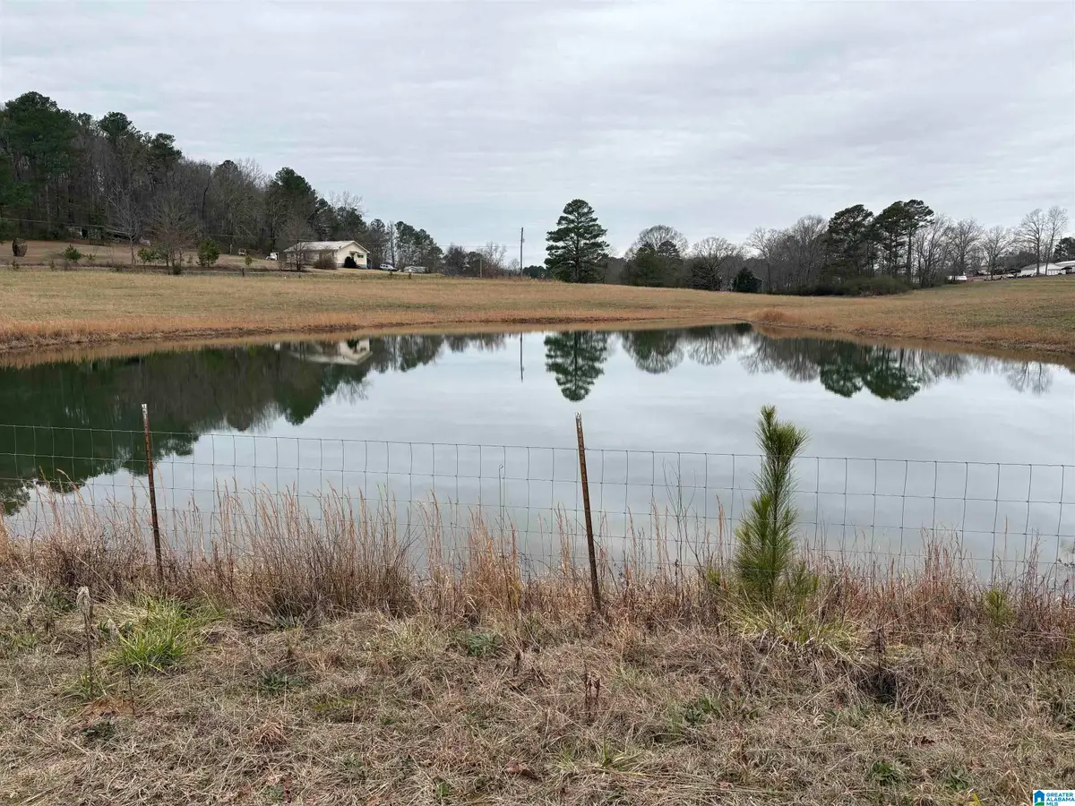 3349 NAIL ROAD, Warrior, AL 35180 - Image #1