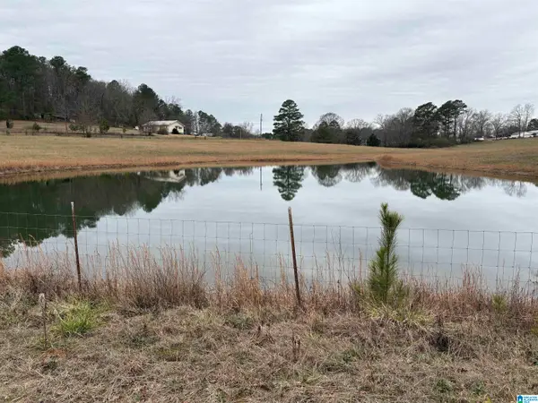 3349 NAIL ROAD, Warrior, AL 35180