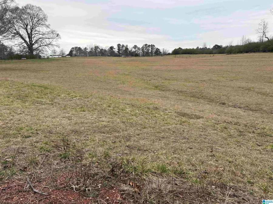 3349 NAIL ROAD, Warrior, AL 35180 - Image #2