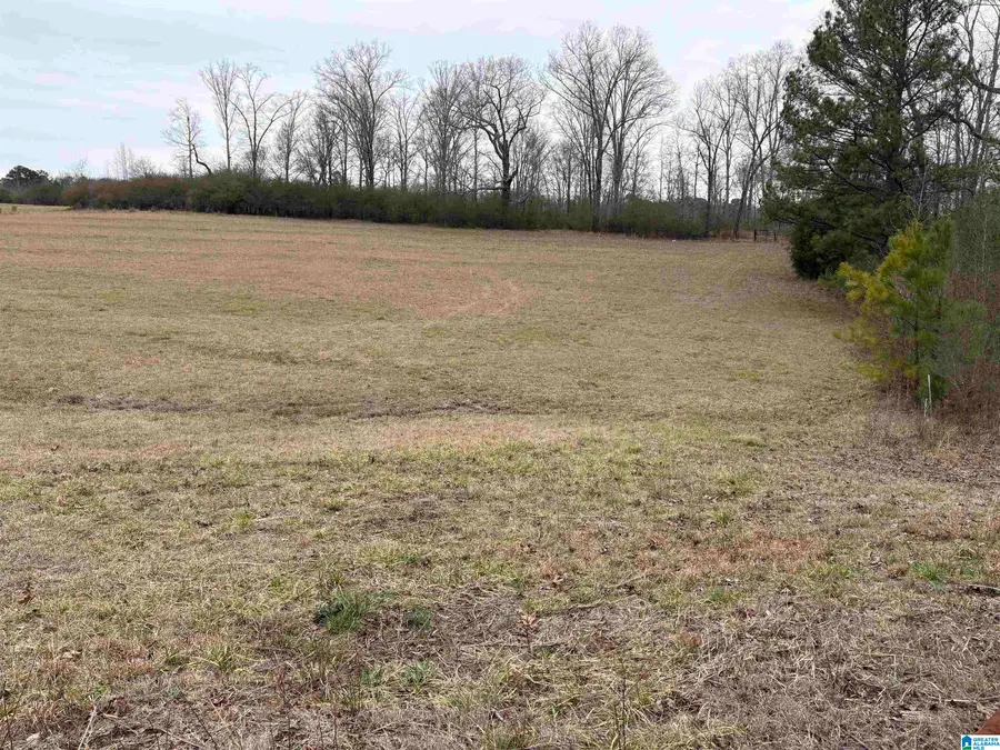 3349 NAIL ROAD, Warrior, AL 35180 - Image #3