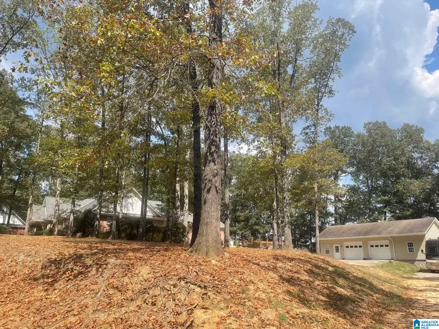 3807 TURKEY RUN, Jasper, AL 35504 - Image #2