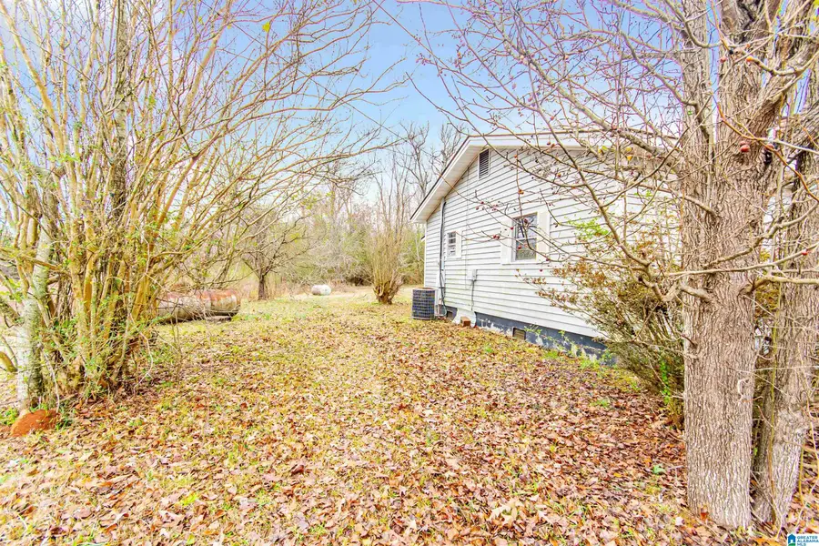 1482 OLD KELLYTON ROAD, Alexander City, AL 35010 - Image #3