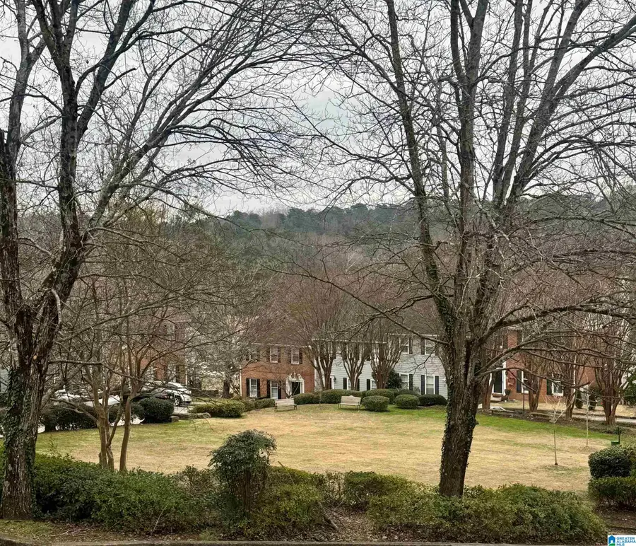 17 THE FALLS DRIVE, Vestavia Hills, AL 35216 - Image #2