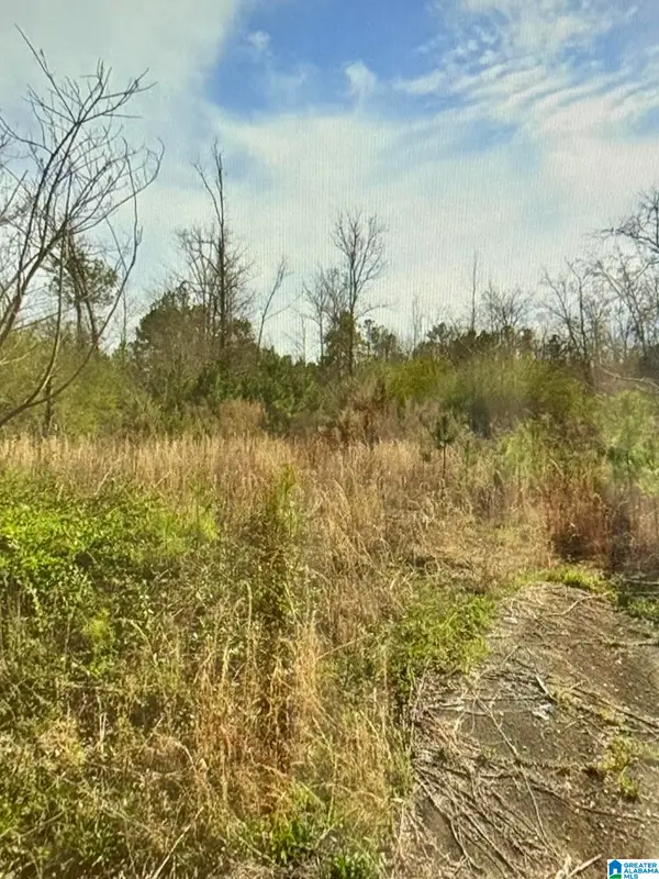 369 KELLEY DRIVE, Kimberly, AL 35091