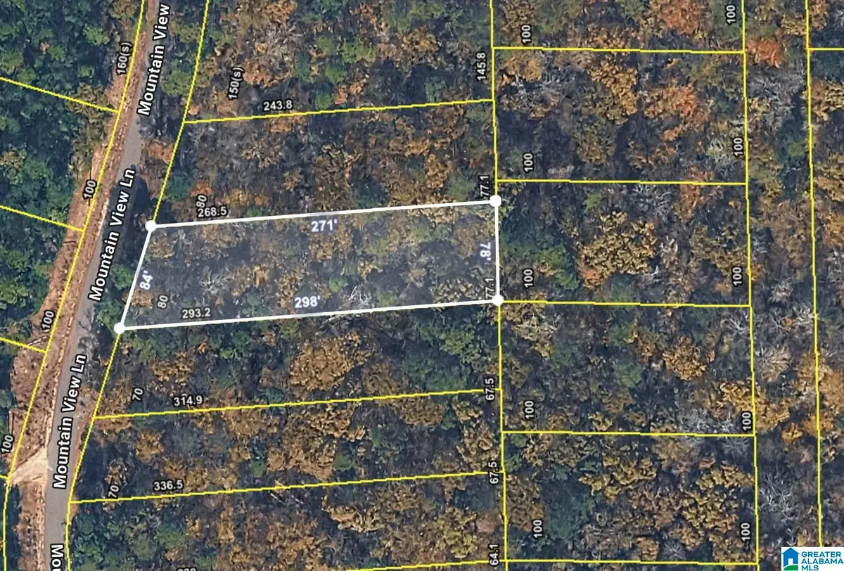 Lot 16/5 MOUNTAIN VIEW LANE, Vance, AL 35490 - #1