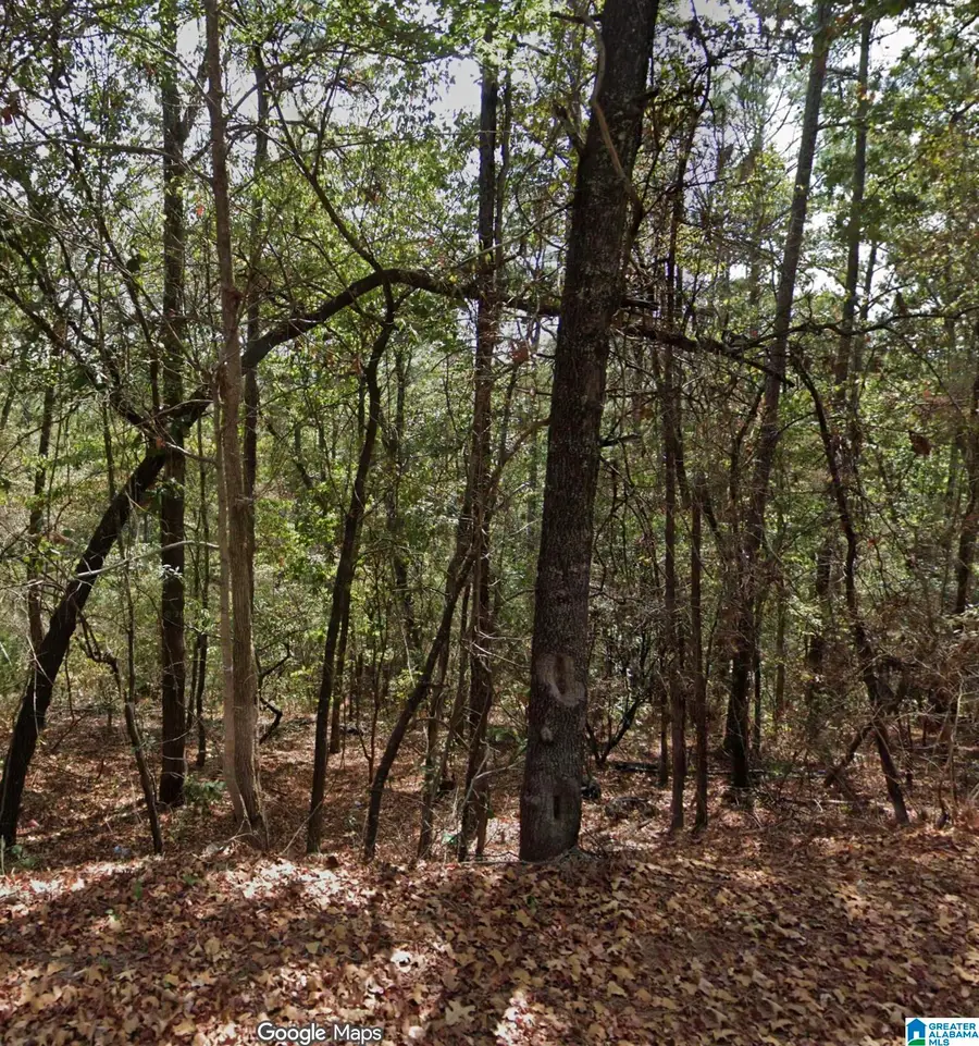Lot 16/5 MOUNTAIN VIEW LANE, Vance, AL 35490 - #3