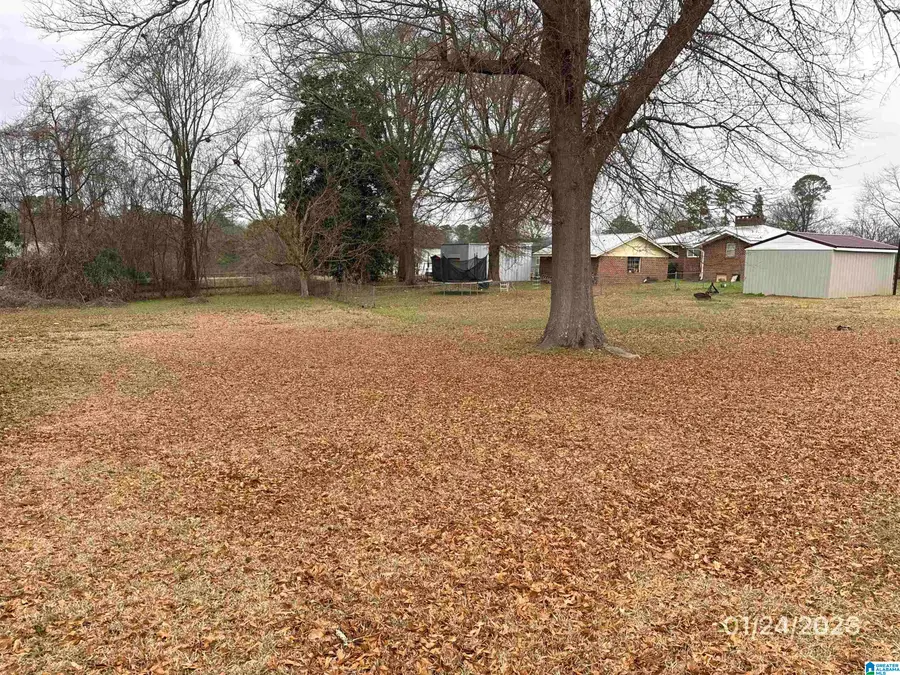 534 1ST STREET SW, Graysville, AL 35073 - Image #3