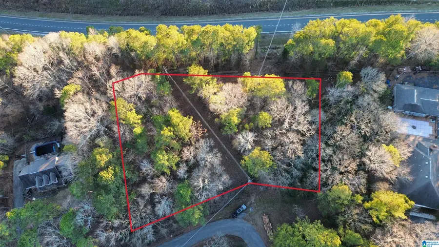 0 OLD ROCKFORD ROAD, Sylacauga, AL 35150 - Image #2