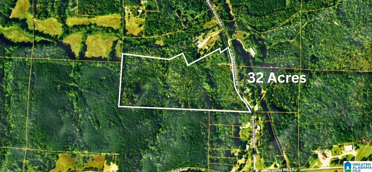 TBD1 BEECH GROVE ROAD, Haleyville, AL 35565 - #1