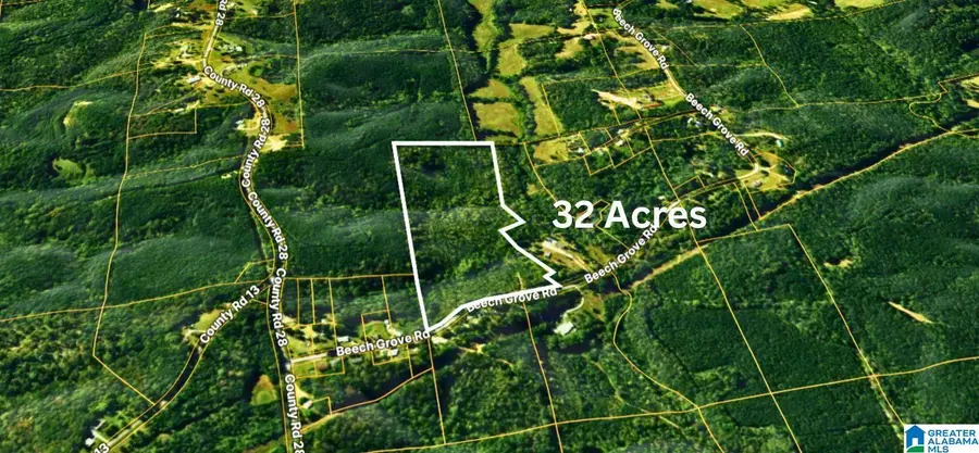 TBD1 BEECH GROVE ROAD, Haleyville, AL 35565 - #2