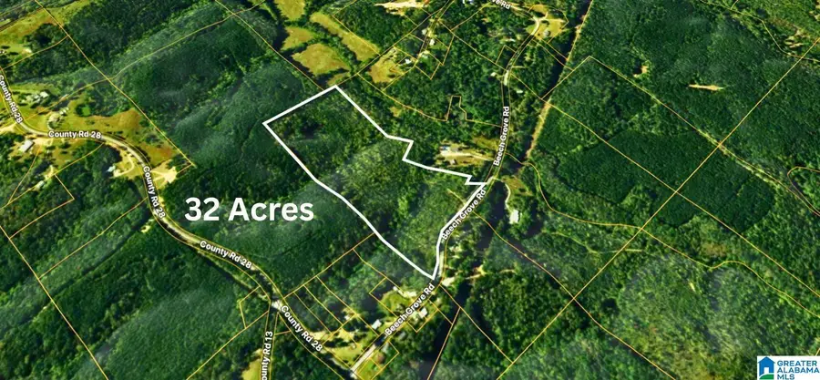 TBD1 BEECH GROVE ROAD, Haleyville, AL 35565 - #3