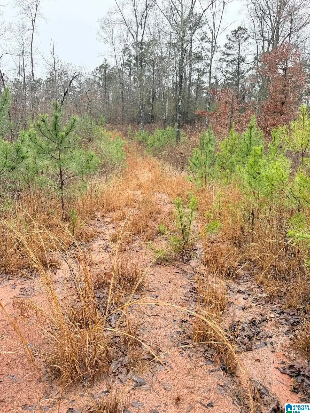 0000 COUNTY ROAD 472, Clanton, AL 35045 - Image #1