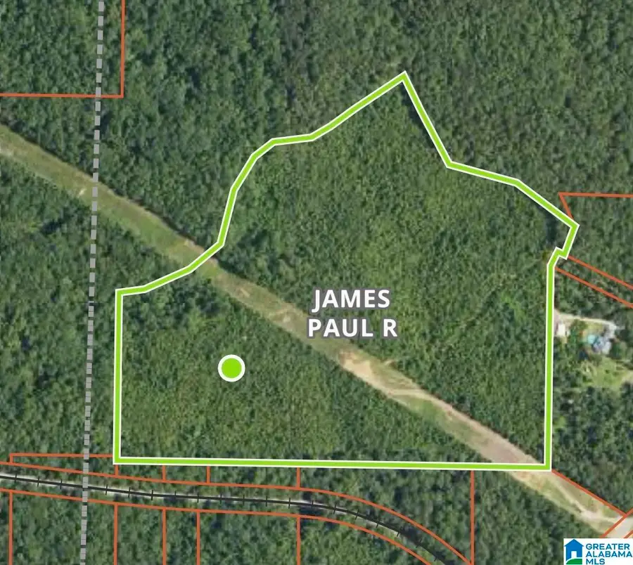 1 TRAMMELL MOTORWAY, Sylacauga, AL 35150 - Image #2