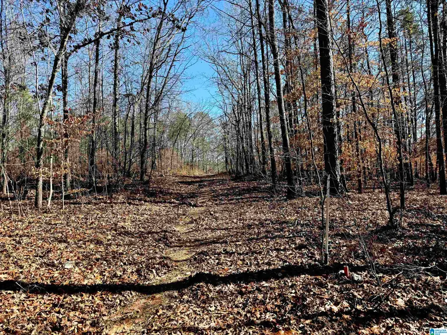 1 TRAMMELL MOTORWAY, Sylacauga, AL 35150 - Image #3