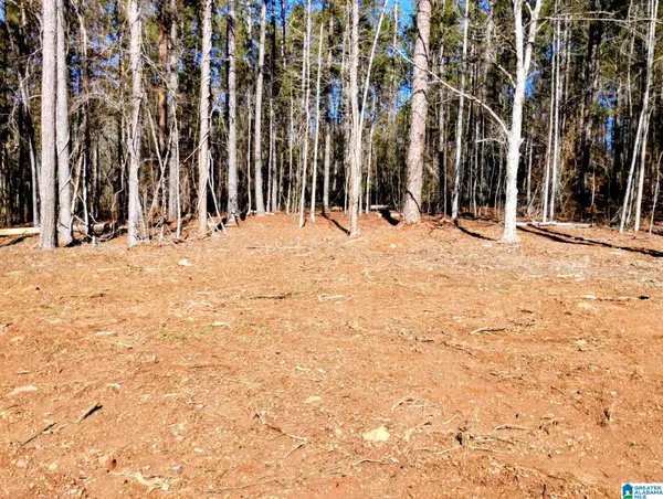 534 FOSTER COVE DRIVE, Lineville, AL 36266