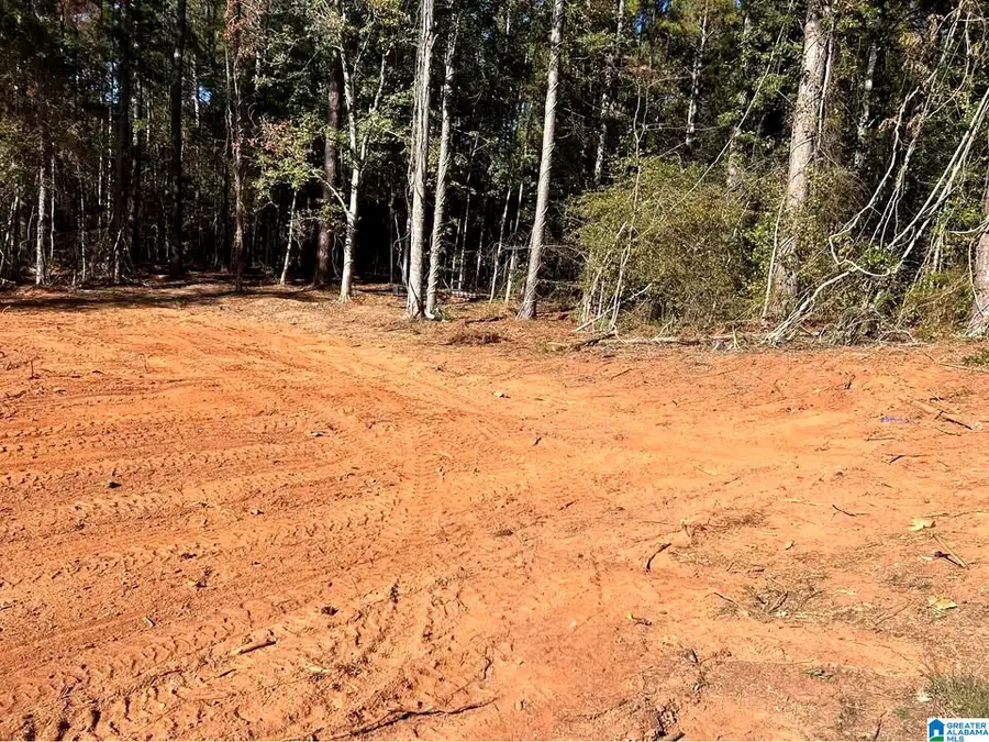 534 FOSTER COVE DRIVE, Lineville, AL 36266 - Image #2