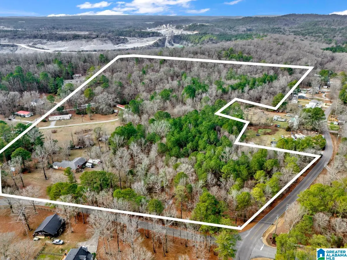 1383 CAMP BRANCH ROAD, Alabaster, AL 35007 - Image #1