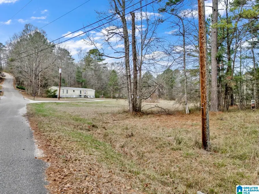 1383 CAMP BRANCH ROAD, Alabaster, AL 35007 - Image #3