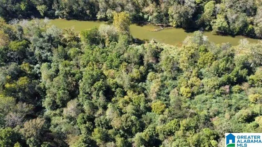 1825 GURLEY ROAD, Trafford, AL 35172 - Image #2