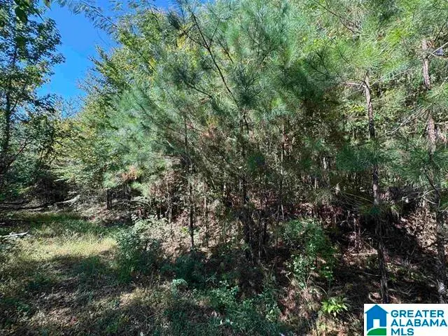 1825 GURLEY ROAD, Trafford, AL 35172 - Image #3