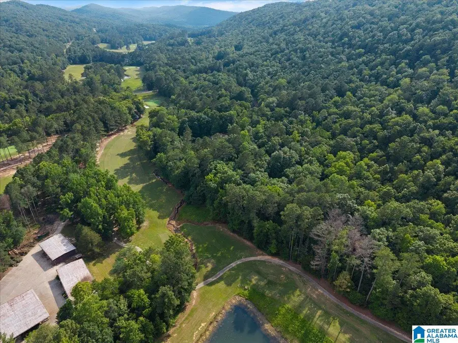 0 BELLERIVE CIRCLE, Oneonta, AL 35121 - Image #2