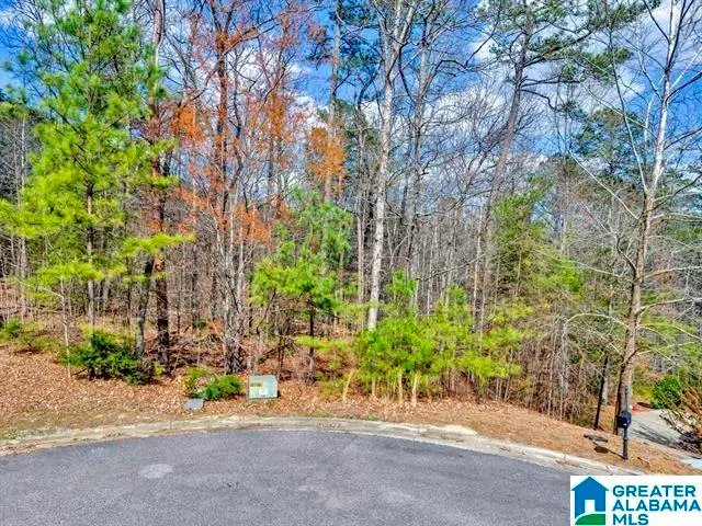 0 BELLERIVE CIRCLE, Oneonta, AL 35121 - Image #3