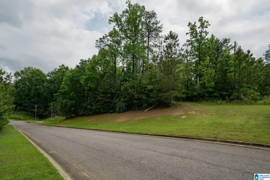 1616 CHATEAU CREST LANE, Vestavia Hills, AL 35216 - Image #2