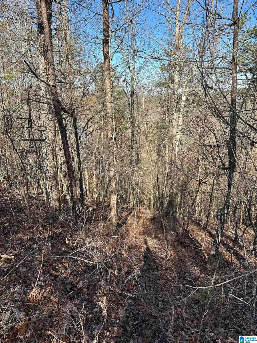 10 MONTANAS WAY, Lineville, AL 36266 - Image #2