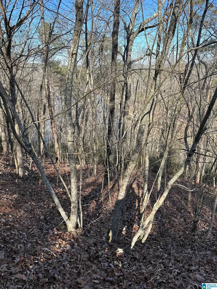 10 MONTANAS WAY, Lineville, AL 36266 - Image #3