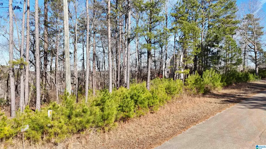 0 PENINSULA DRIVE, Wedowee, AL 36278 - Image #3