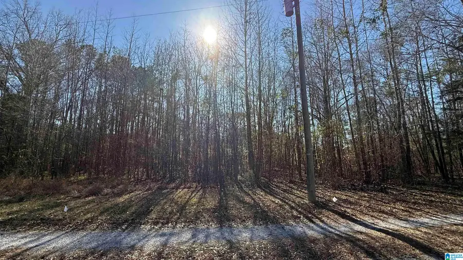 COUNTY ROAD 95, Calera, AL 35040 - Image #2