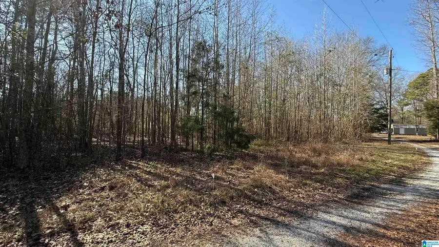 COUNTY ROAD 95, Calera, AL 35040 - Image #3