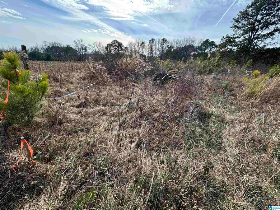 0 COUNTY ROAD 42, Steele, AL 35987 - #3