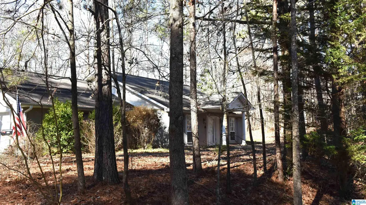 702 OLD ROCKFORD ROAD, Sylacauga, AL 35150 - Image #1