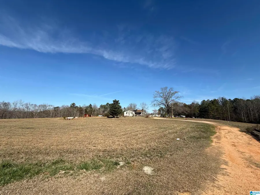 16717 ANTIOCH COMMUNITY ROAD, Brookwood, AL 35444 - #3