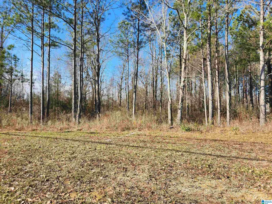0 BONNIEVILLE DRIVE, Calera, AL 35040 - Image #2