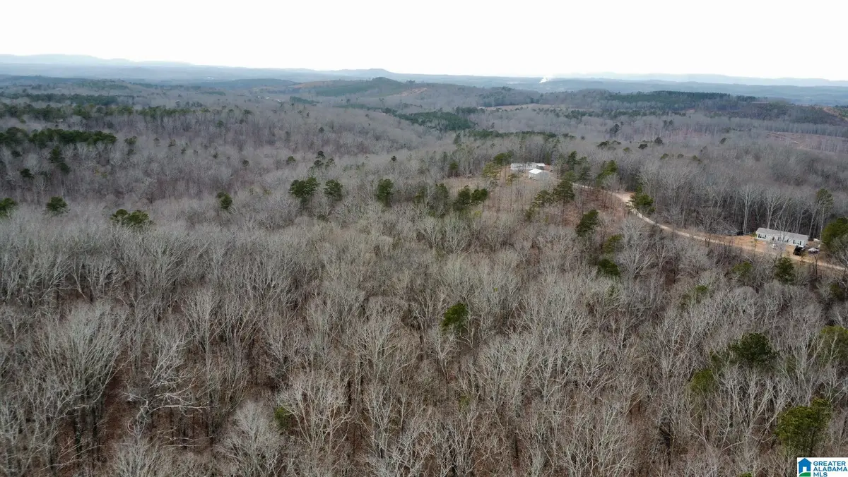 0 COUNTY ROAD 116, Heflin, AL 36264 - Image #1